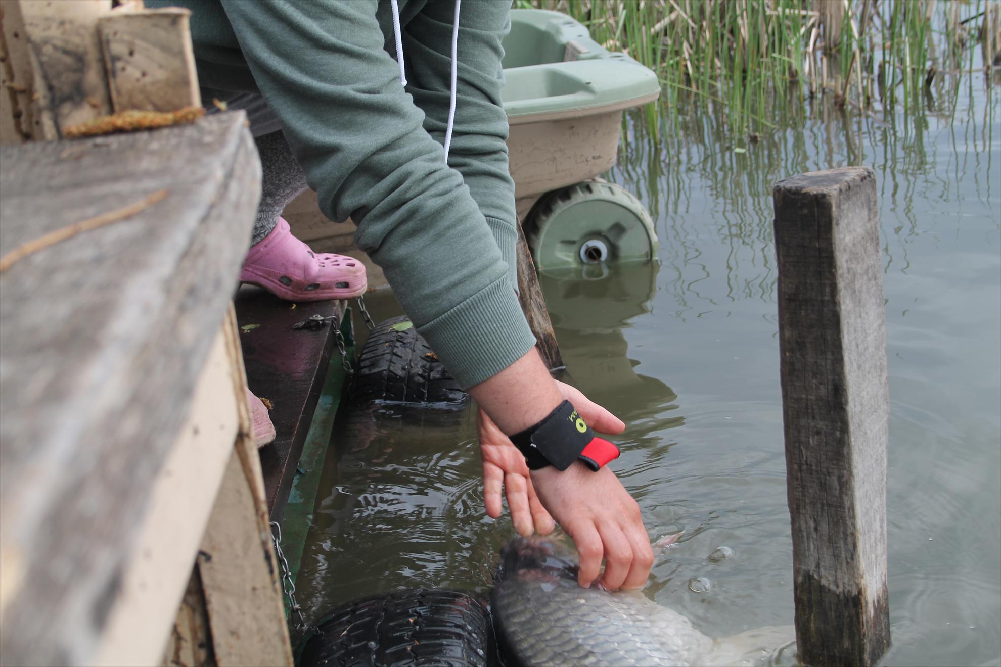 Nagykallo 2013 FedeerTeamUnique - nagykallo-aprilie2013-623.JPG